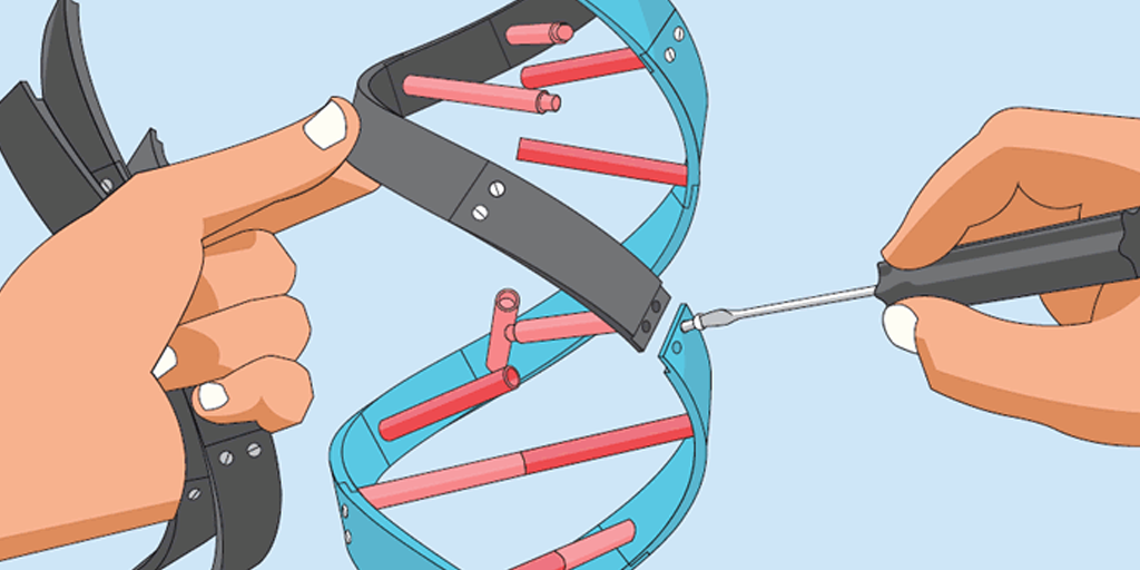 Picture of two hands using a screwdriver to disassemble a strand of DNA