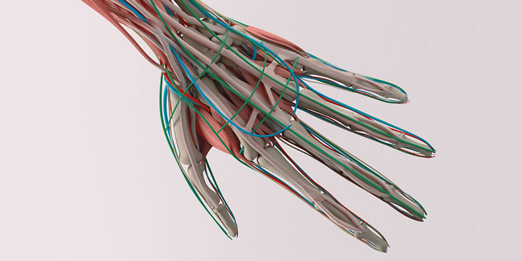 Inclusion-Body-Myositis-Treatment