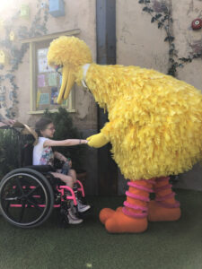 Olivia, a white girl with glasses and brown hair in a ponytail, sitting in a black and pink wheelchair, reaches out to Big Bird, the tall, yellow Sesame Street character, who bends over and holds her hand in a friendly grip.