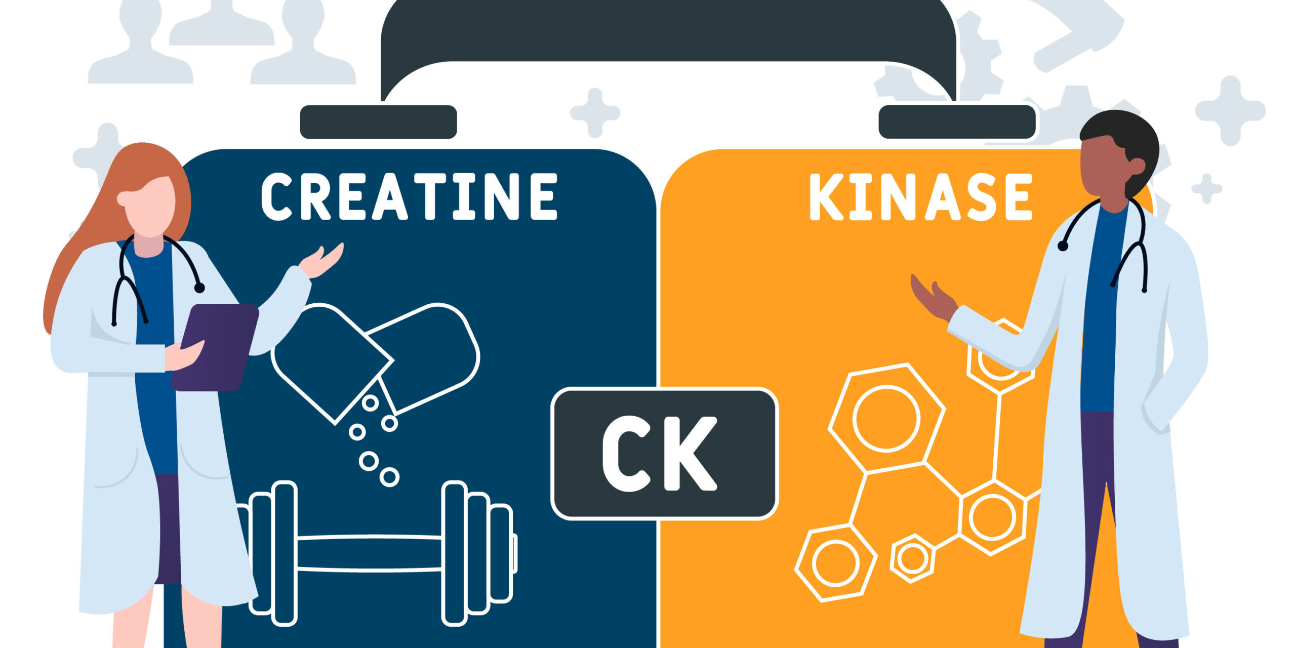 what-does-high-creatine-kinase-mean-in-dogs