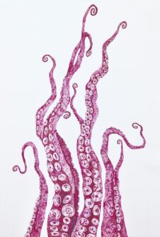 "Molecular Octopus" by Holly Goodwin. An illustration of octopus tentacles with molecular structures woven into the drawing.