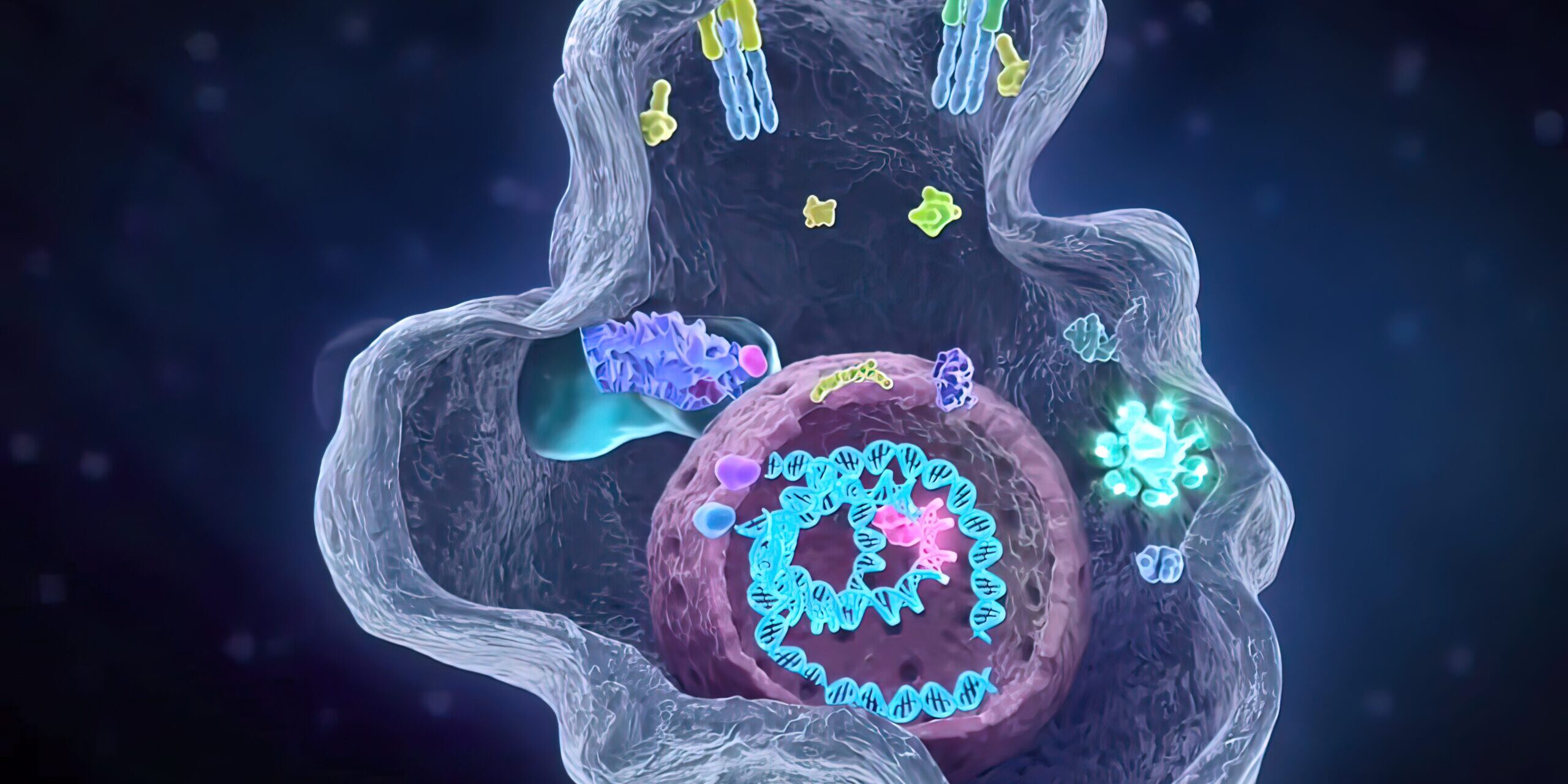 Current, occurring, or functioning state within a cell. Cell functions. 3D illustration