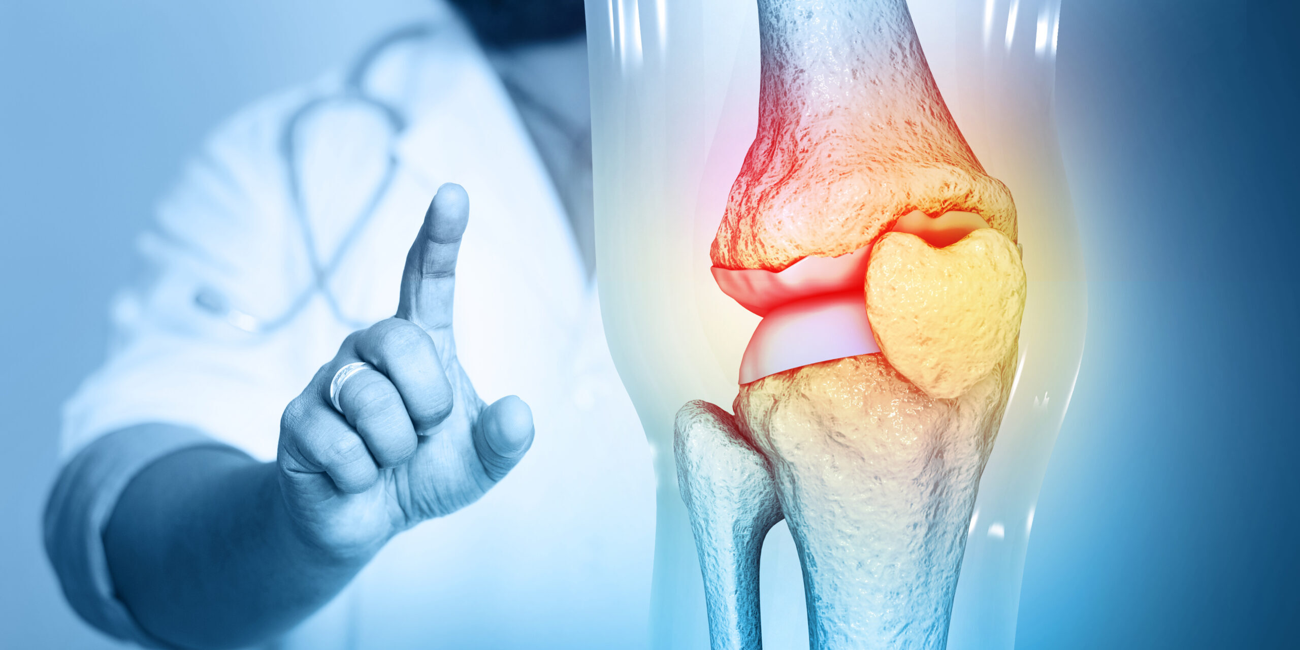 Doctor check and diagnose the Pain in knee joint on medical background. 3d illustration