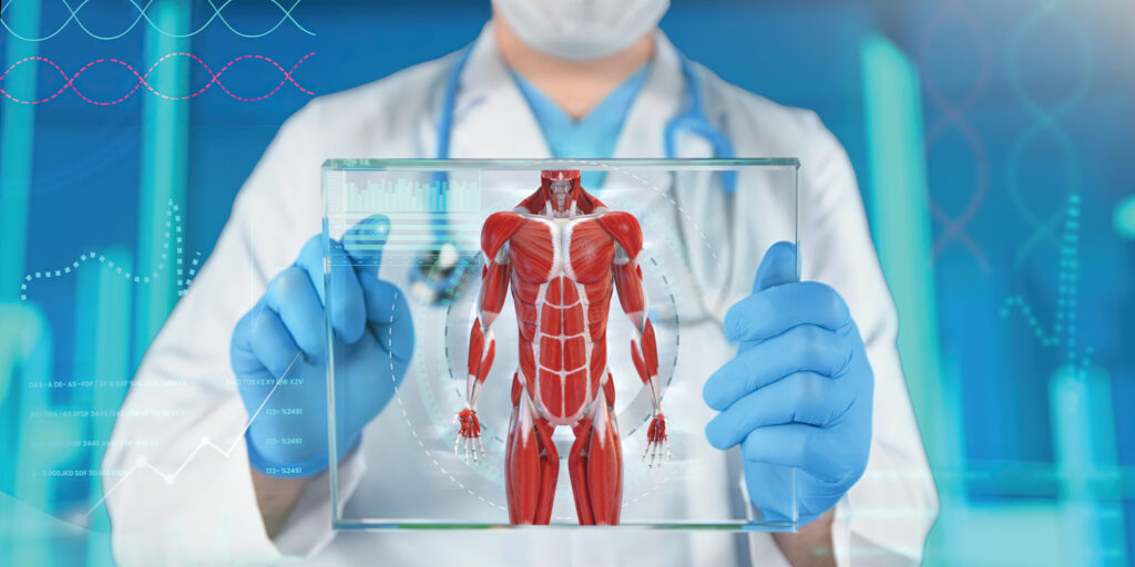 A doctor wearing a white lab coat, face mask and gloves holds up a tablet showing the muscular system of the body. His face is not showing in the photo.