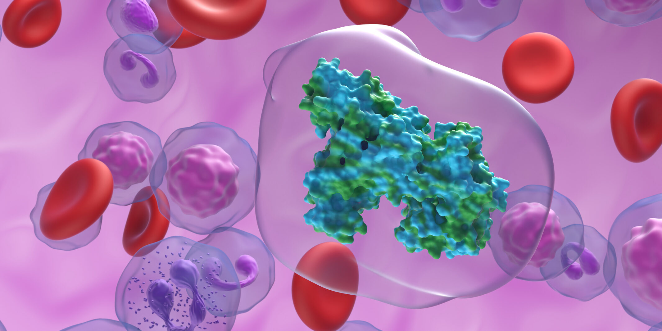 Creatine kinase (CK), also known as creatine phosphokinase (CPK) or phosphocreatine kinase, is an enzyme expressed by various tissues and cell types. CK catalyses the conversion of creatine and uses adenosine triphosphate (ATP) to create phosphocreatine (PCr) and adenosine diphosphate (ADP). This CK enzyme reaction is reversible and thus ATP can be generated from PCr and ADP.