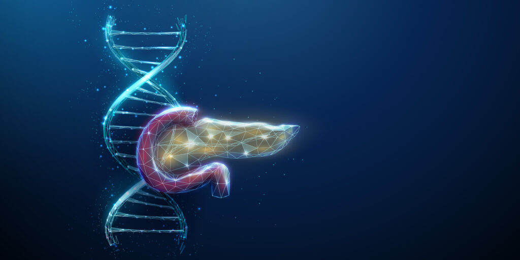 Blue 3d DNA molecule helix with red and yellow pancreas. Genetic diseases of the pancreas, DNA damage, genetic research concept. Low poly futuristic style. Abstract wireframe light structure. Vector