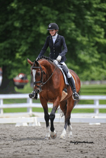 A young woman in equestrian gear rides a horse