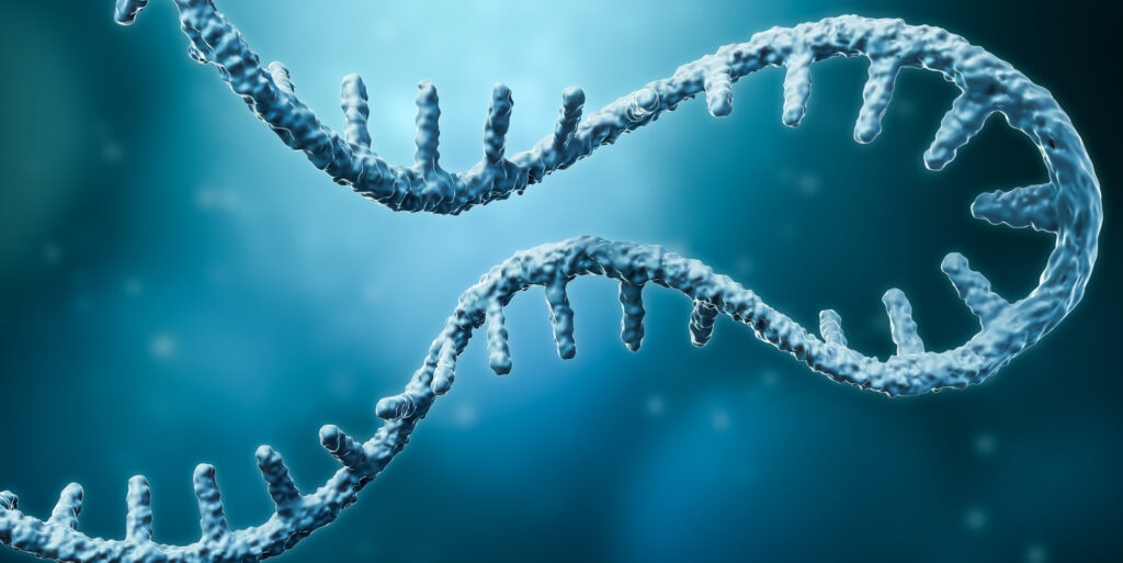 Messenger RNA or mRNA strand 3D rendering illustration with copy space. Genetics, science, medical research, genome replication concepts.