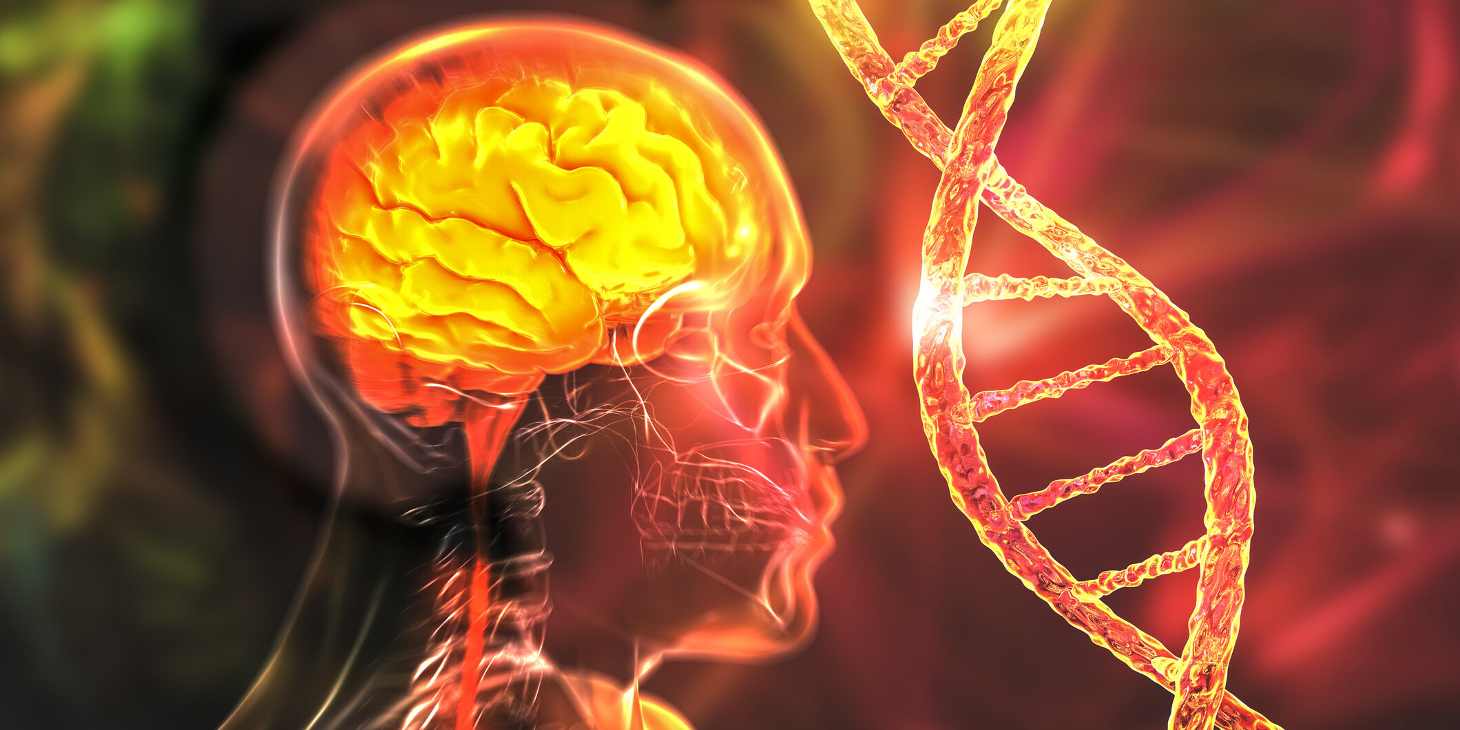 Genetic brain disorders, conceptual computer illustration. Mutations in the DNA leading to brain diseases. Neurogenetics, neurodegenerative disorders.