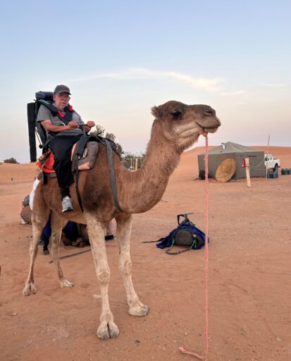A man sits on a camel in an adapted seat