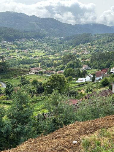 Scenic view from the El Camino