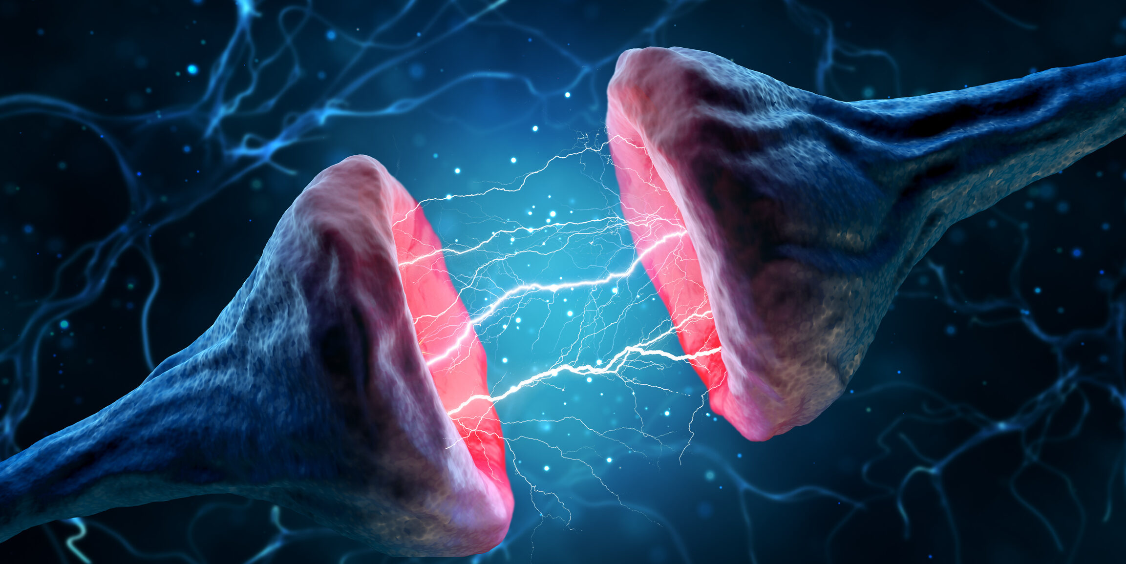 Synapse and neuron on a blue background. 3d rendering.