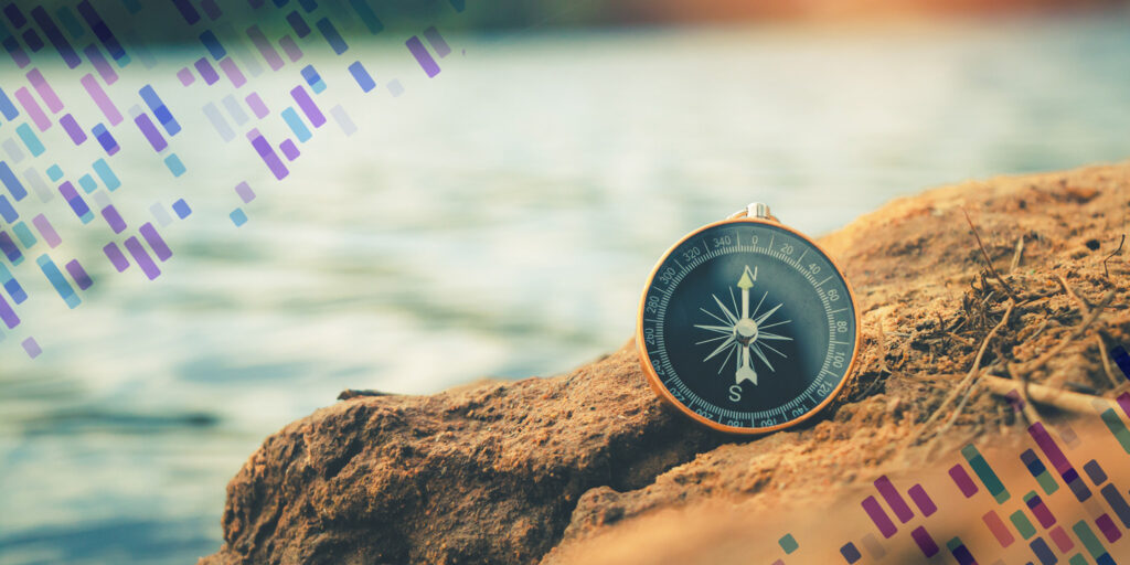 A compass, with the needle pointing north, rests on a rocky shore.