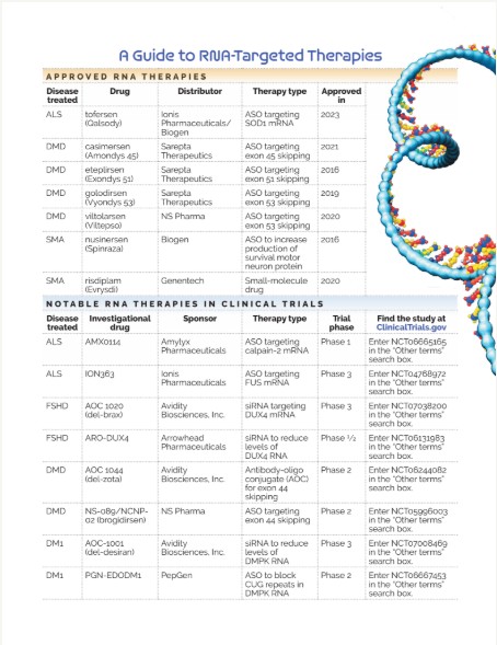 A Guide to RNA-Targeted Therapies