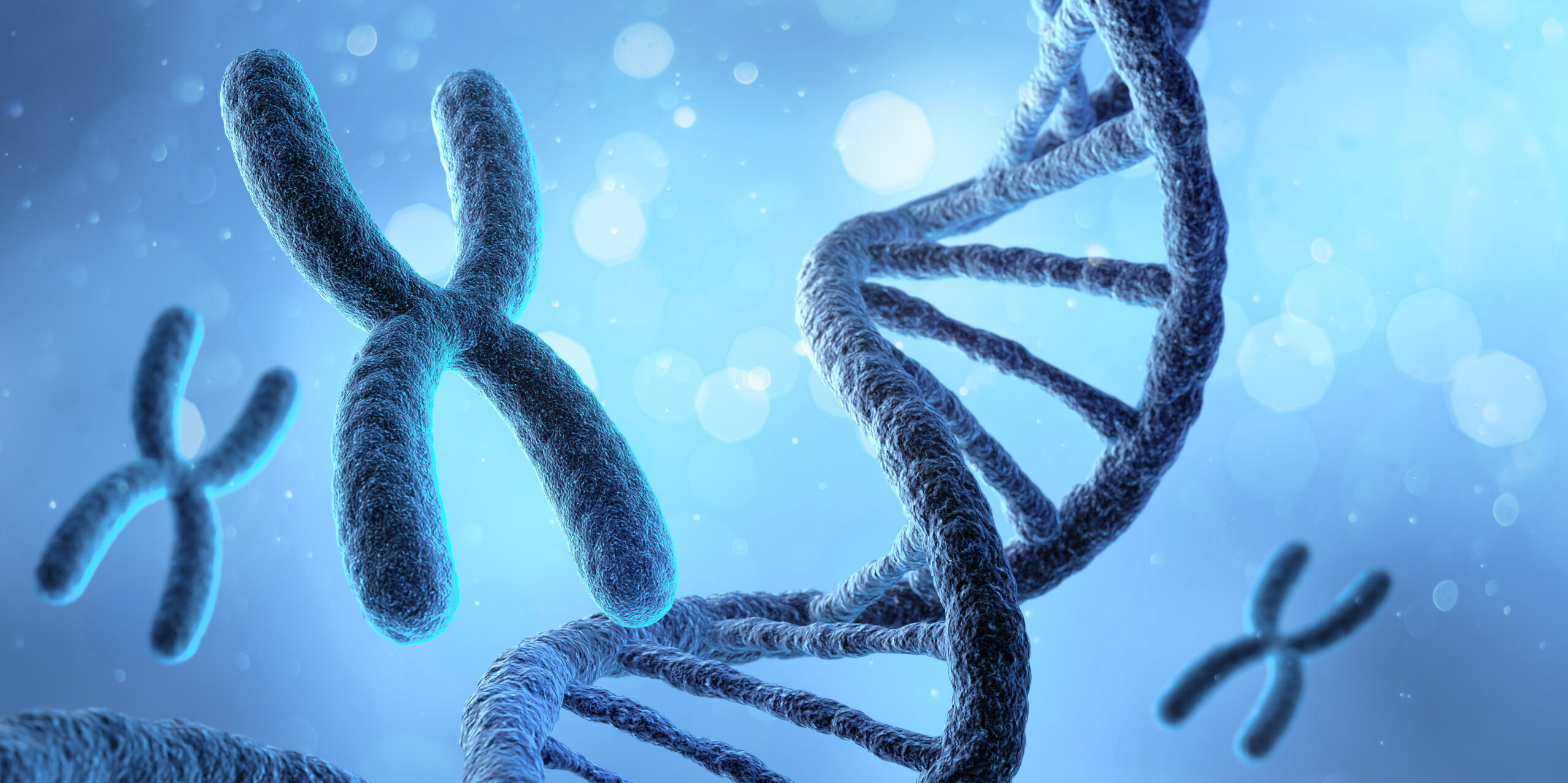 3D illustration of X Chromosome, Medicine. Medical science and biotechnology background.