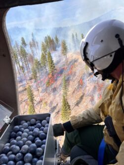 Side view of fire fighter's helmet as he looks out the open door of a helicopter flying over a forest fire