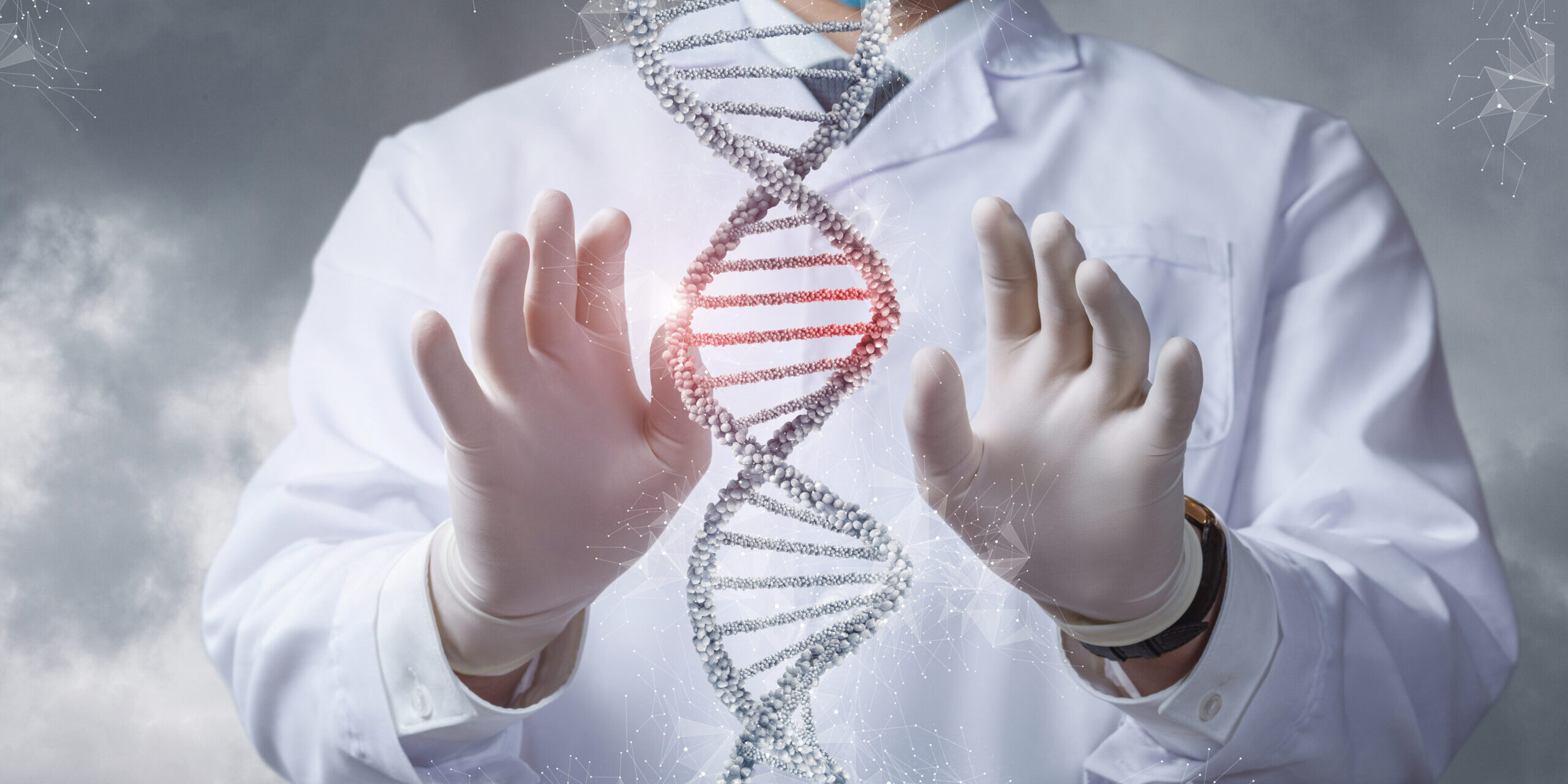 DNA molecule research study concept. The doctor makes manipulations with the DNA molecule on a blurred background.