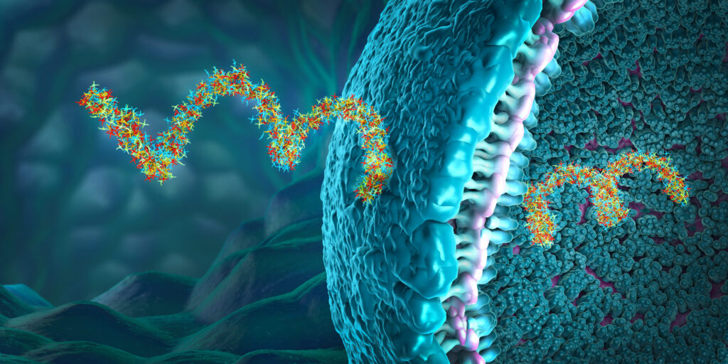 Ribonucleic acid strands consisting of nucleotides important for protein bio-synthesis - 3d illustration