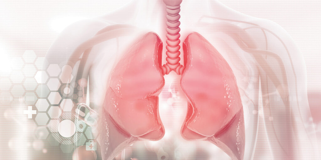 Medical illustration of human lungs and trachea within a translucent upper body.